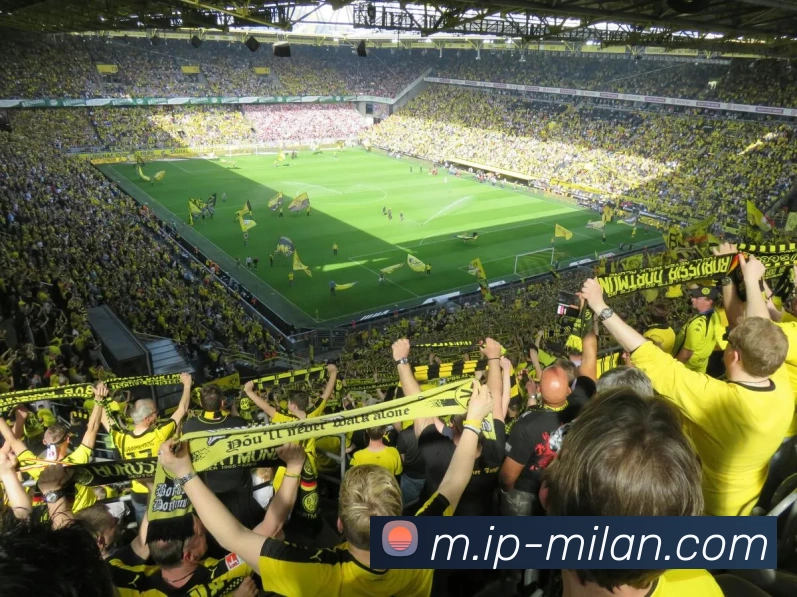 米兰体育服务体系